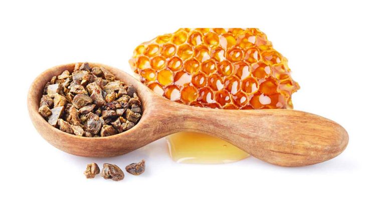 Propolisin Faydaları Saymakla Bitmiyor