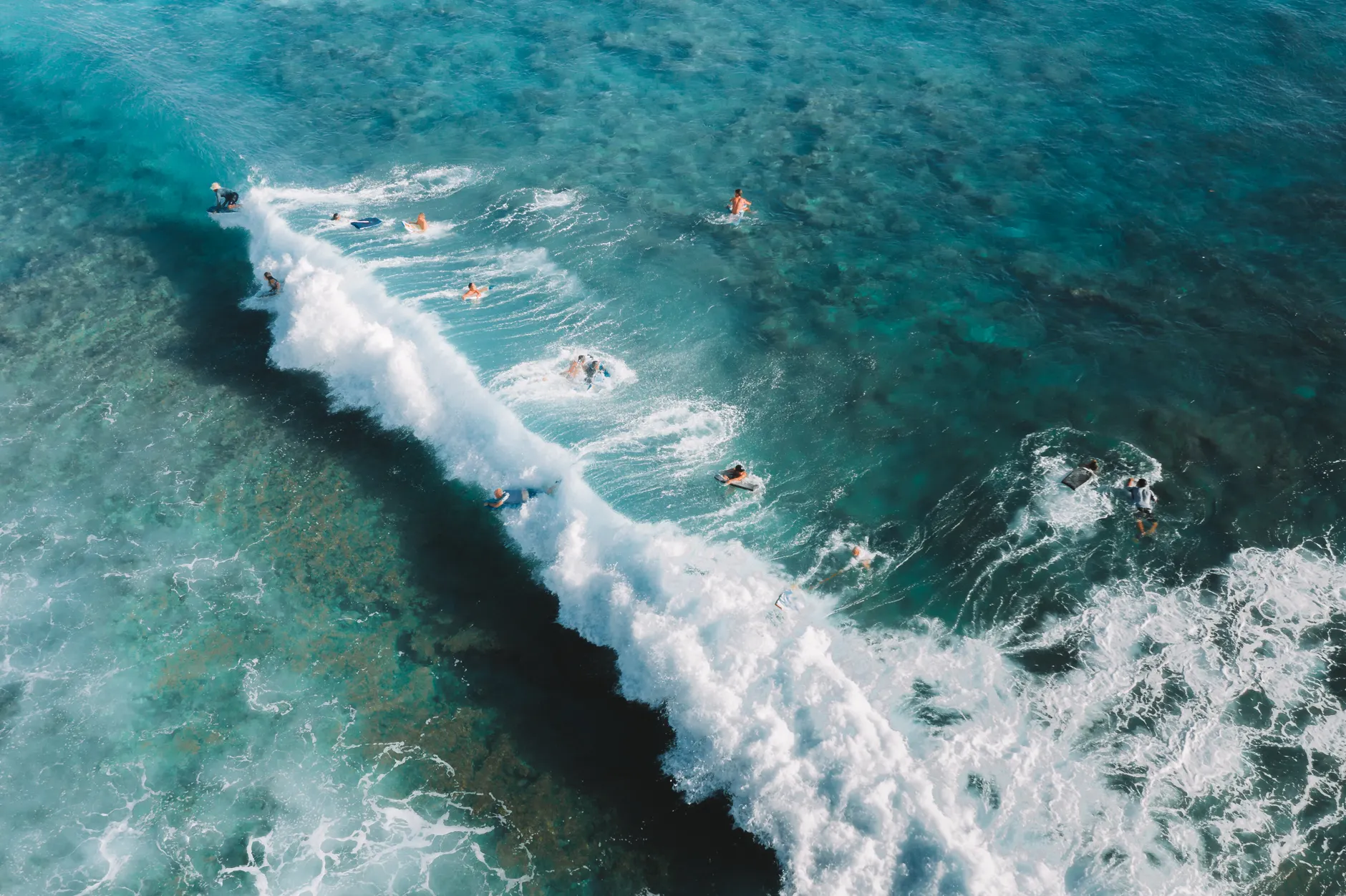 Aloha Festival, Wolfmother ve sörf filmlerini Sydney sahiline taşıyor